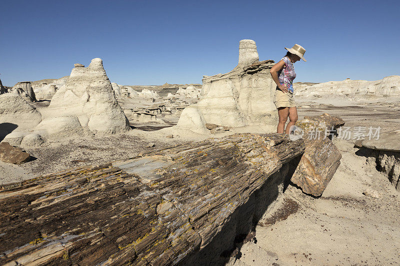 妇女探索石化木材原木hoodoo Bisti De-Na-Zin荒野新墨西哥州沙漠